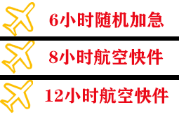 阿里普兰机场快运快递公司,专业空运当天件